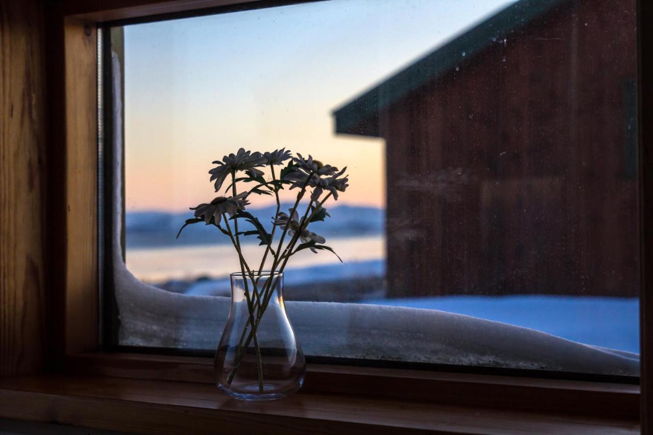 Lake Thingvellir Cottages Blaskogabyggd Eksteriør billede