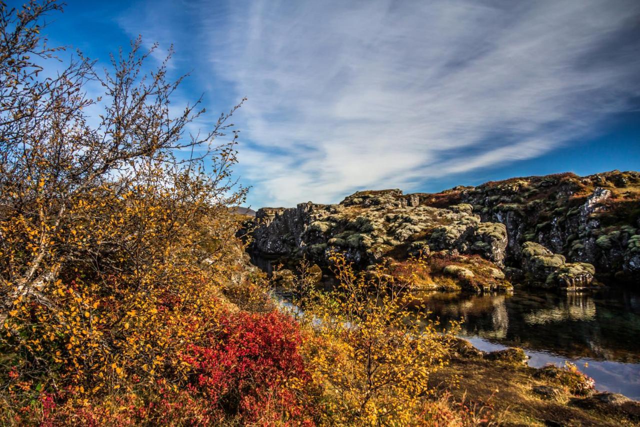 Lake Thingvellir Cottages Blaskogabyggd Eksteriør billede